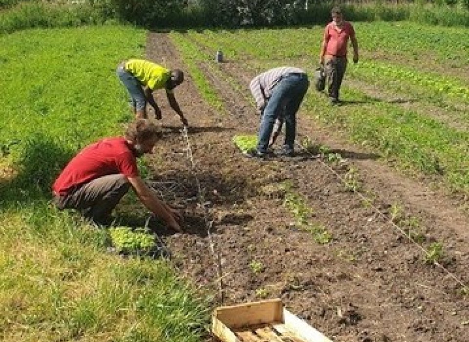 L’Association Les jardiniers d’eau a été créée en janvier 2021. Elle fait suite à la mise à disposition, par une famille de chrétiens berruyers, de marais à Bourges.